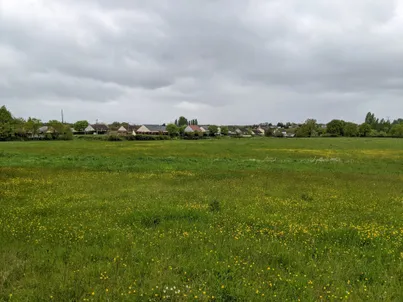 Photo de l'horizon avec les maison des voisins